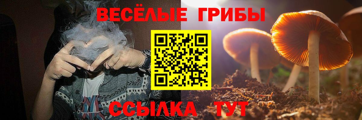 Псилоцибиновые грибы GOLDEN TEACHER  Вход с VPN  Ейск  Псилоцибиновые грибы ЛСД 